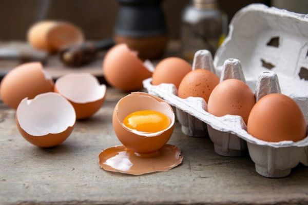 Activités créatives et DIY avec des œufs périmés