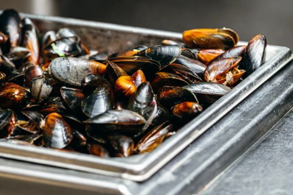 Transformer vos restes en nouveaux plats délicieux