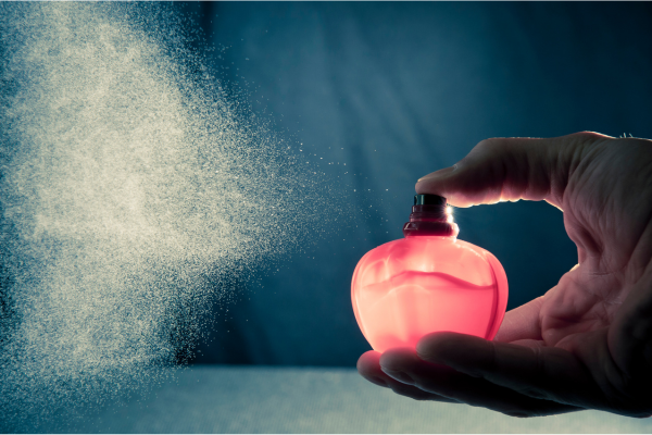 ville du futur ecologique bede