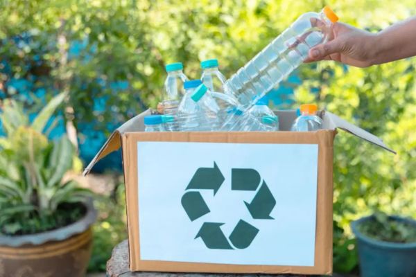 L'impact environnemental et économique du recyclage des bouteilles PET