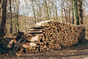 bois de chauffage 50 euros le stère