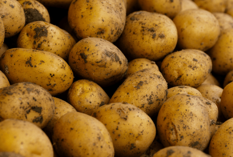 1 kg de pommes de terre combien de personnes